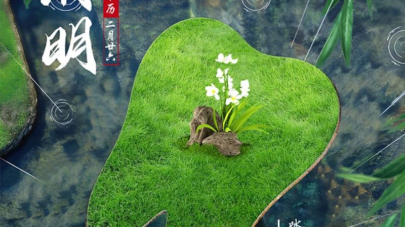 全口种植牙，选对厂家是关键**